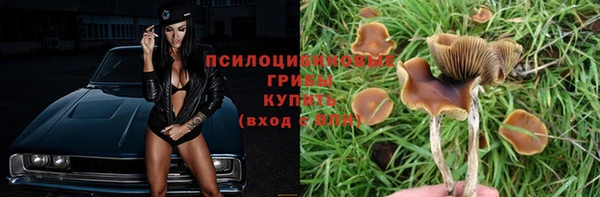 прущий лед Семёнов